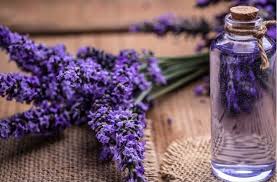 Lavender Water- Ανθόνερο Λεβάντας