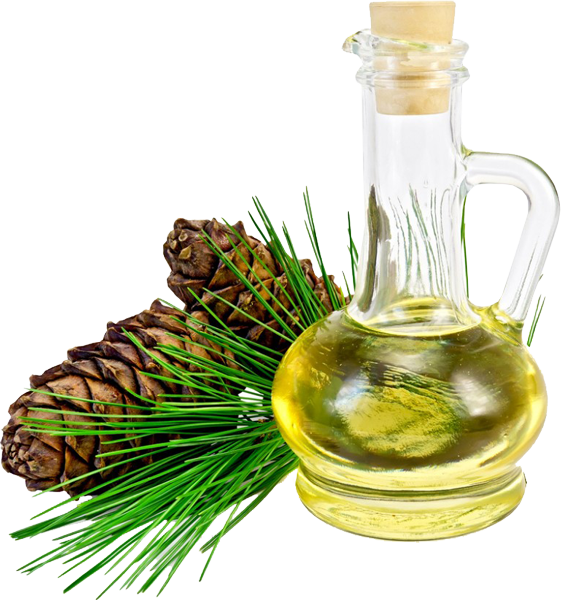 Αιθέριο έλαιο Πεύκο- Essential oil Pine