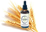 Wheat germ oil - Έλαιο Φύτρο σιταριού
